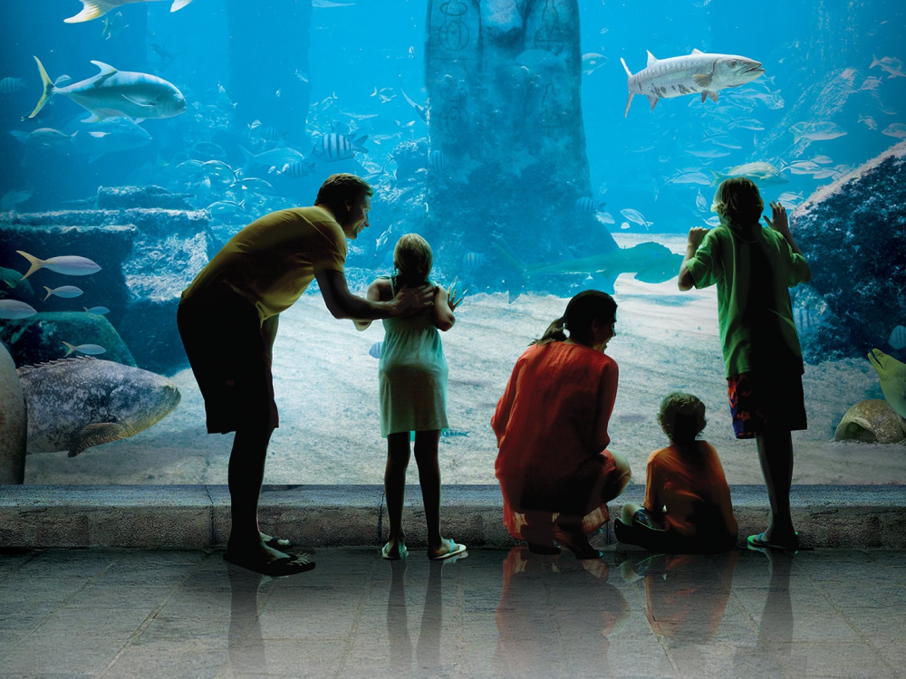 Family at the aquarium