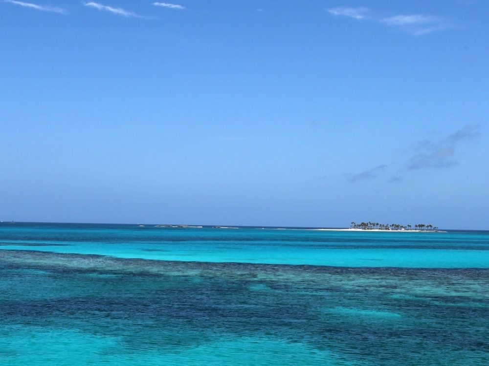 Clear turquoise waters and a tropical island. 