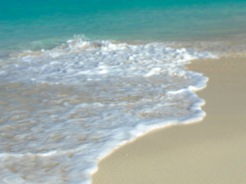 A conch shell in the sand on a Bahamas beach with 'It's Better in The Bahamas' written.